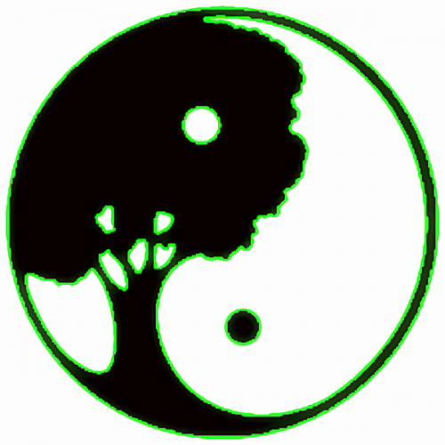 Jin Shin Do Schmerztherapeutischer Ansatz Physioteam